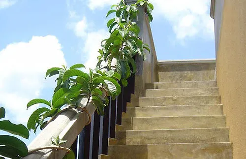 Villa Sandalwood Kandy